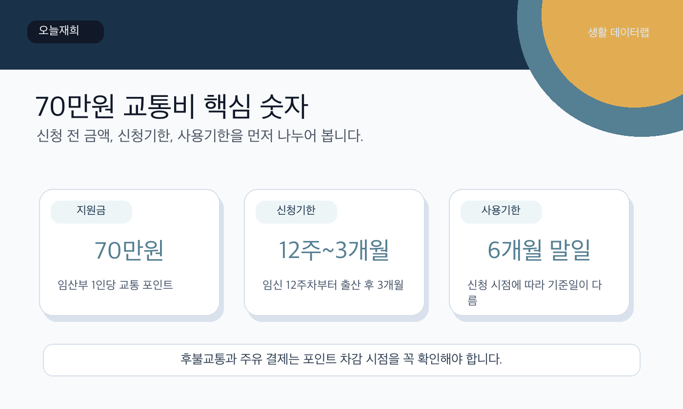 서울 임산부 교통비 금액과 기한 핵심 숫자